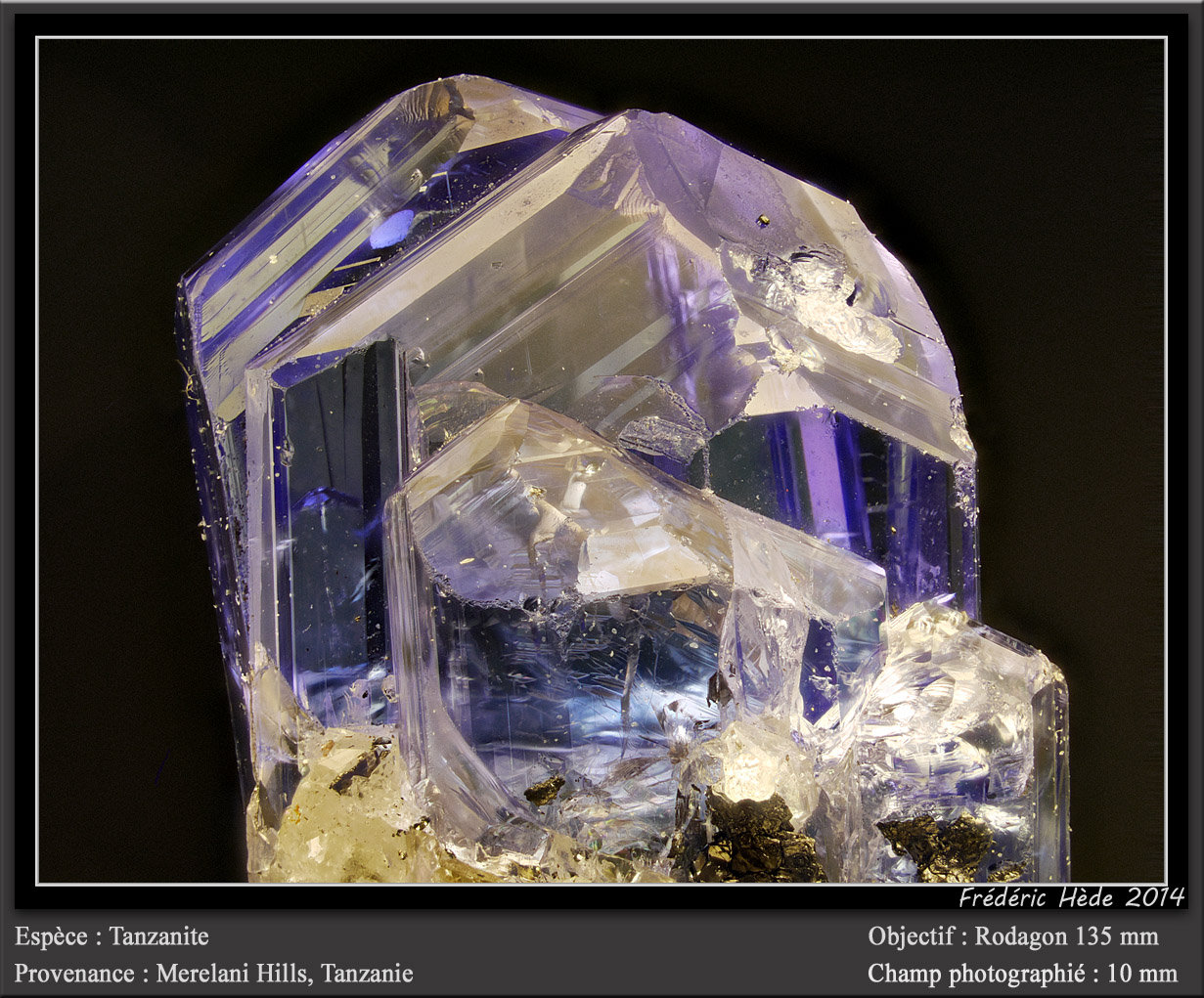 Zoisite (var. tanzanite)
Fov 10 mm
(Autor: ploum)