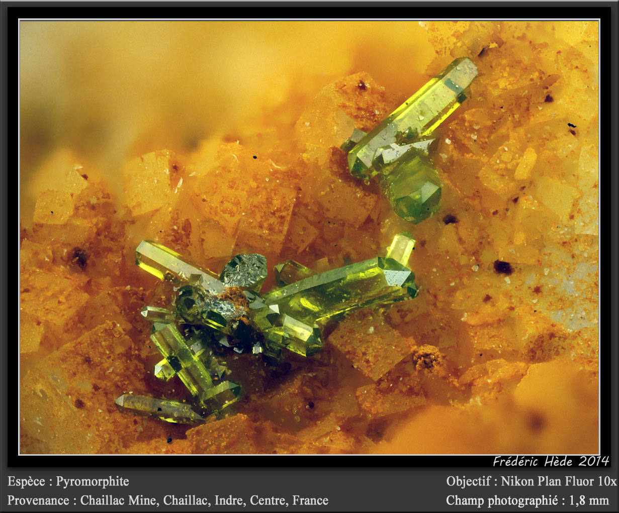 Pyromorphite
fov 1,8 mm
(Autor: ploum)