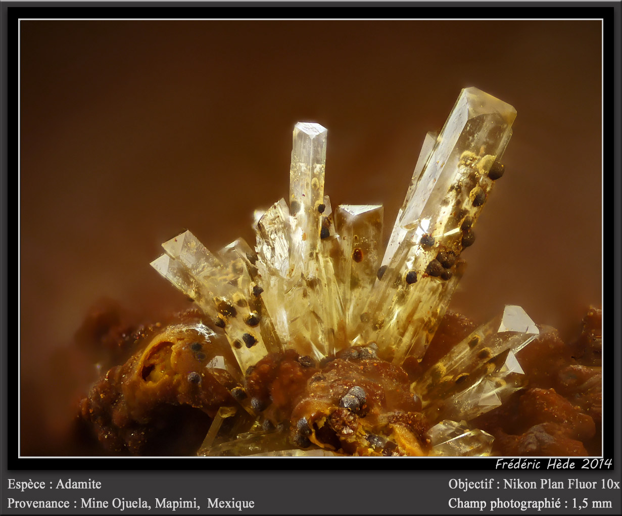 Adamite
fov 1,8 mm
(Autor: ploum)