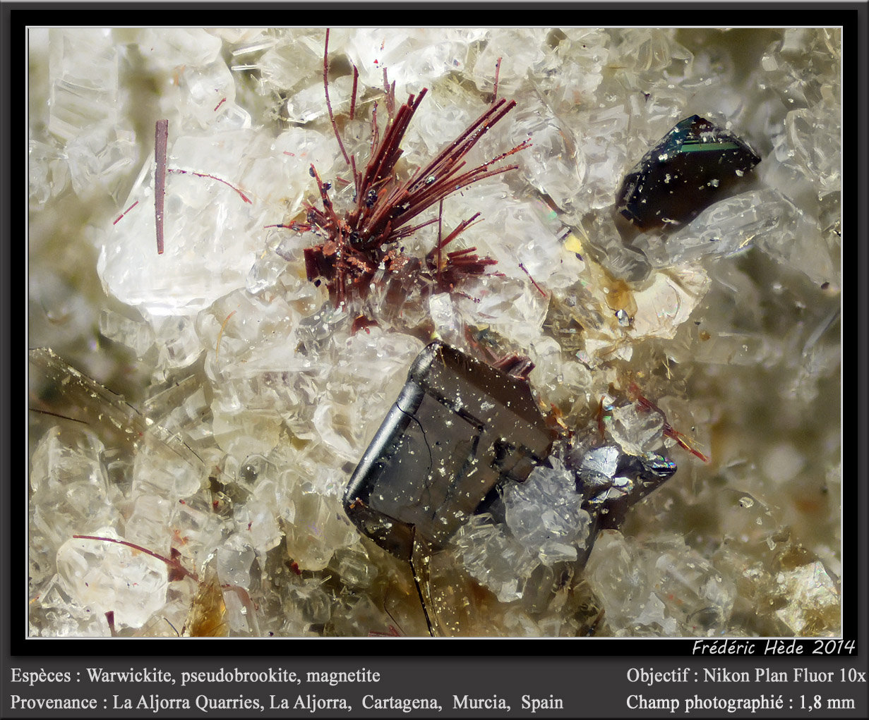 Warwickite, Pseudobrookite and Magnetite
(Autor: ploum)