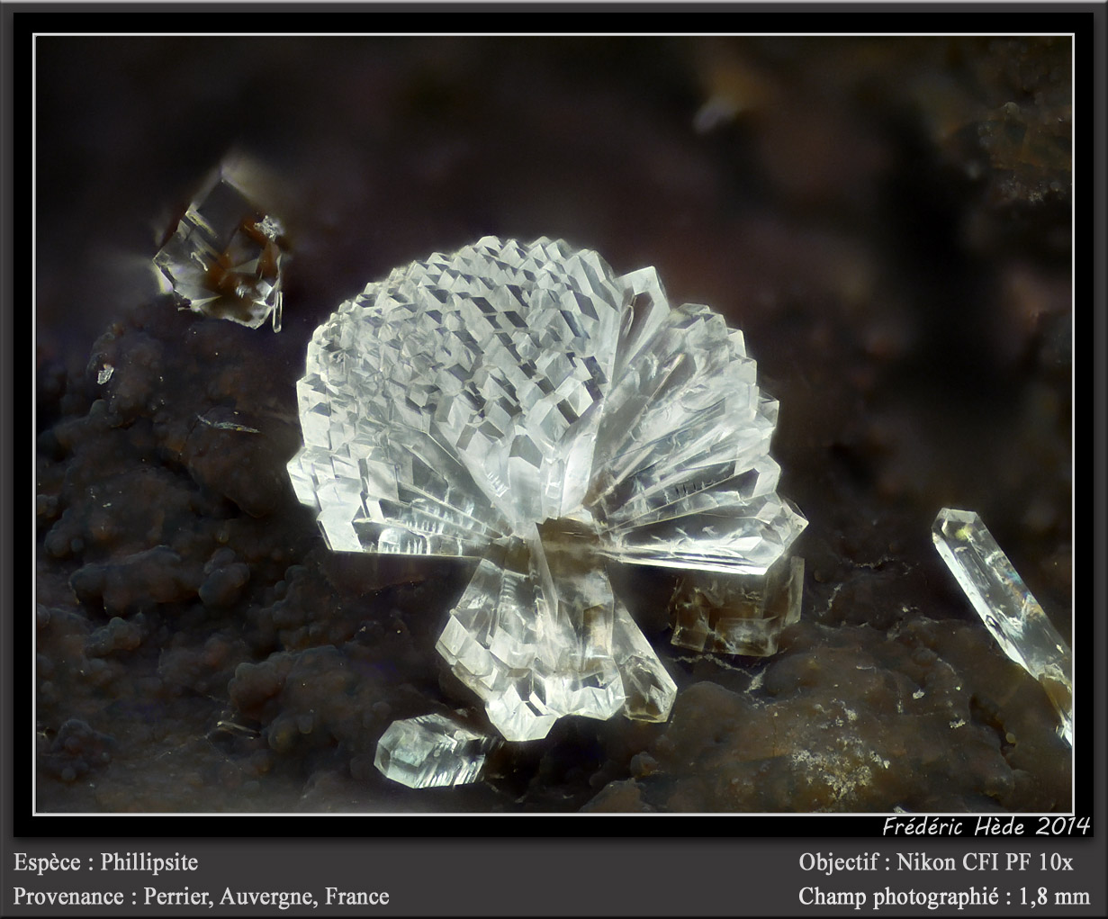 Phillipsite
fov 1.8 mm
(Autor: ploum)