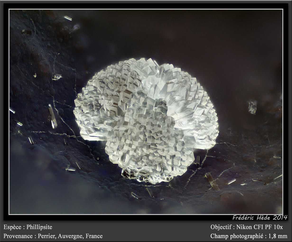 Phillipsite
fov 1.8 mm
(Autor: ploum)