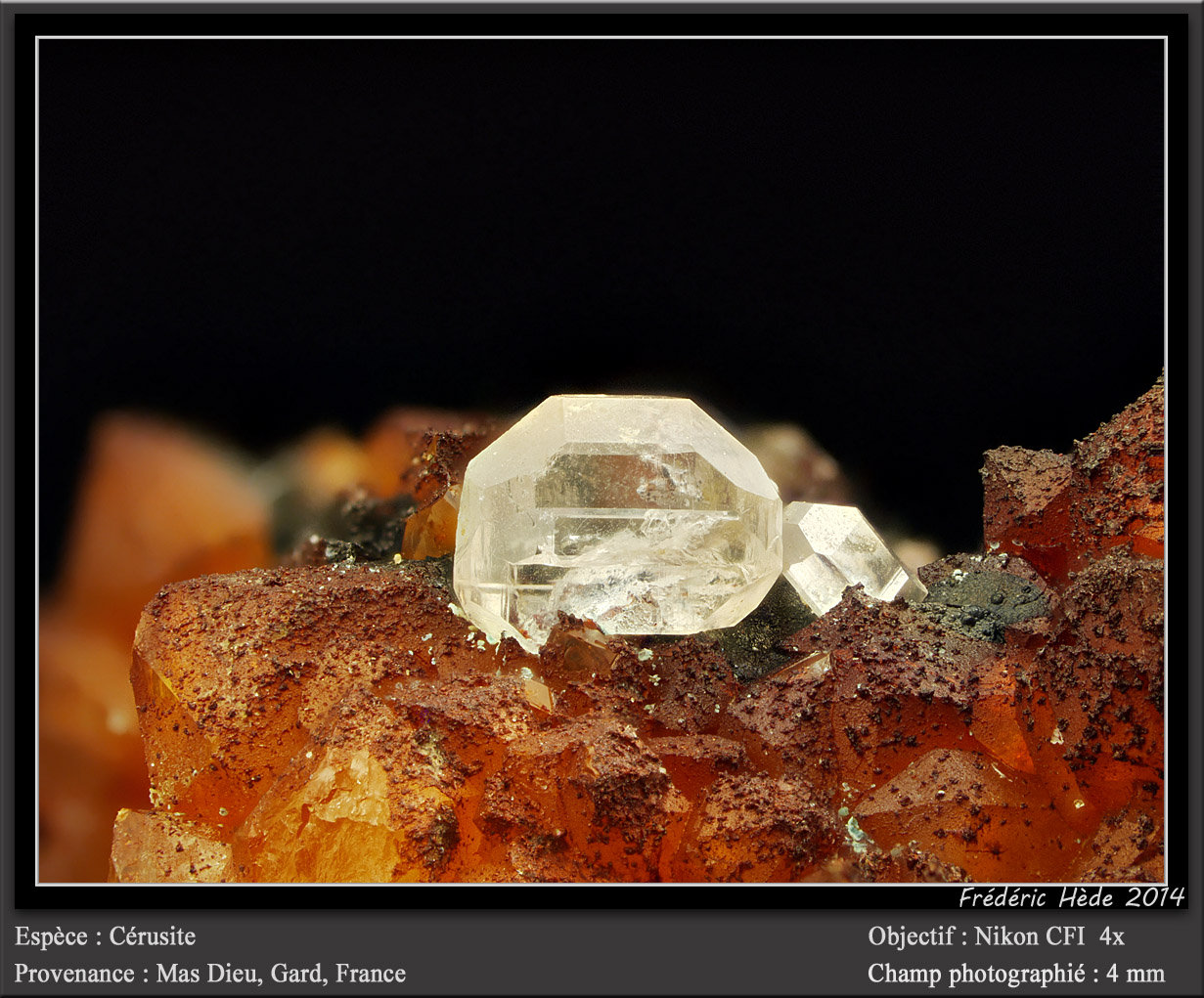 Cerussite
fov 4,5 mm
(Autor: ploum)