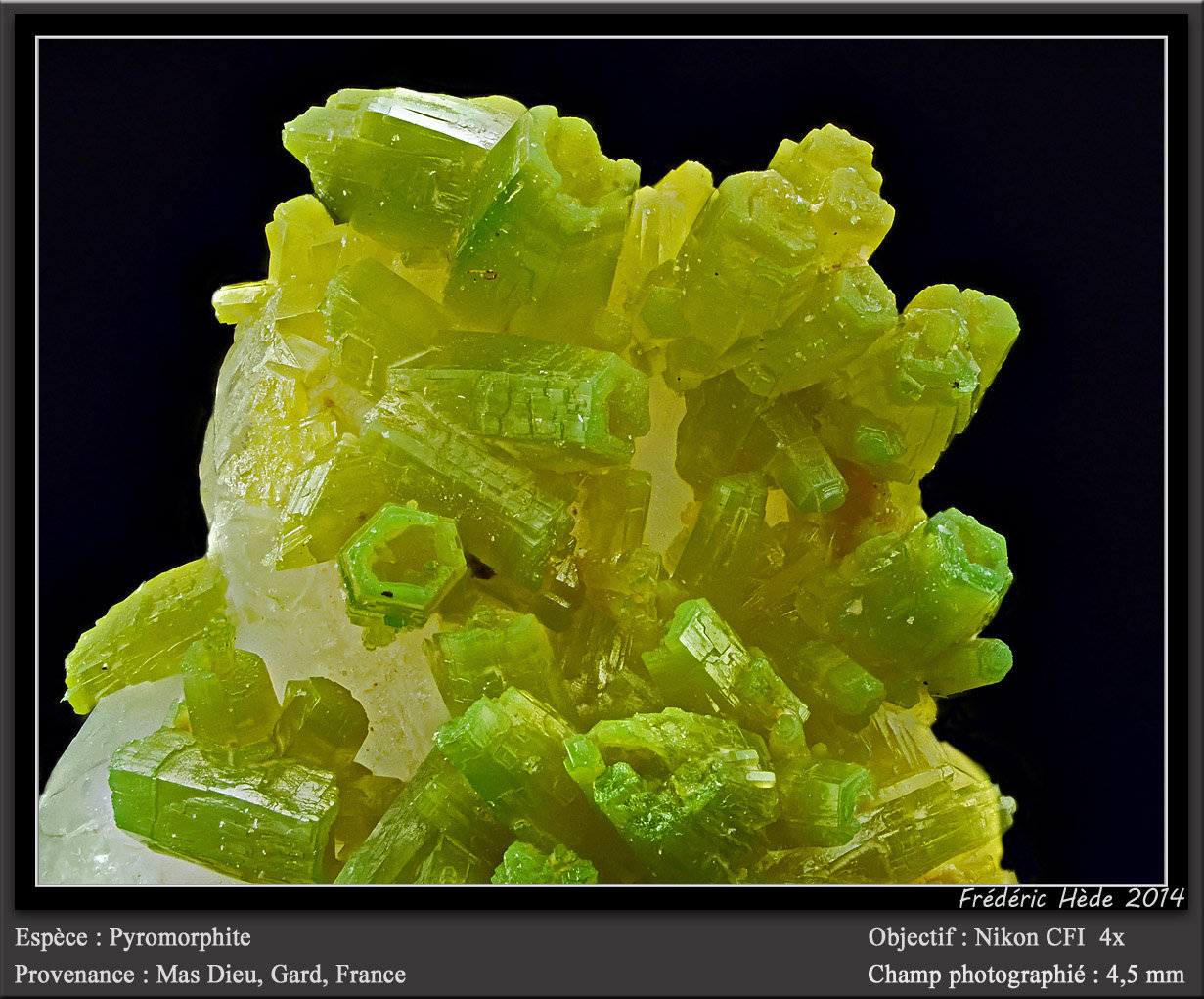 Pyromorphite
fov 4,5 mm
(Autor: ploum)