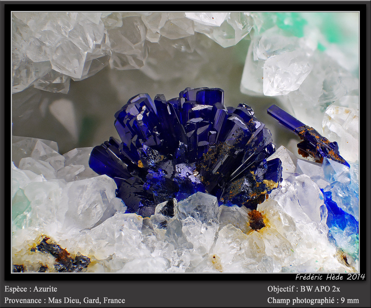 Azurite
fov  9 mm
(Autor: ploum)
