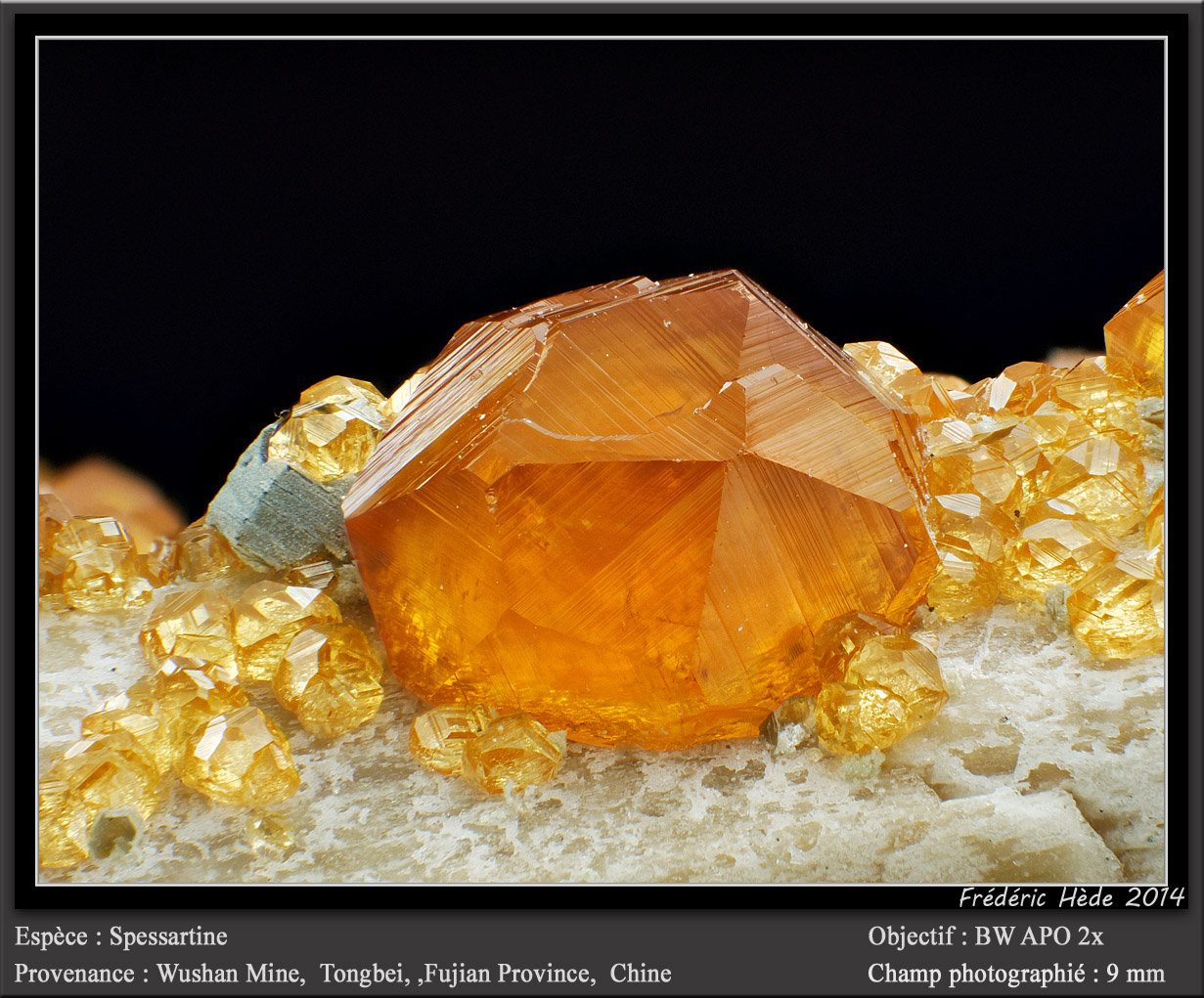 Spessartine
fov 9 mm
(Autor: ploum)