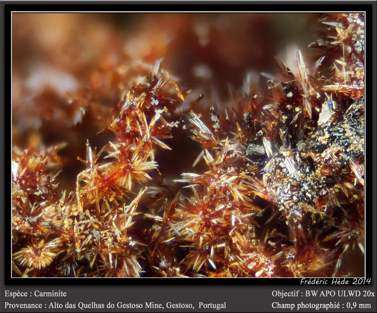 Carminite
fov 0.9 mm
(Autor: ploum)