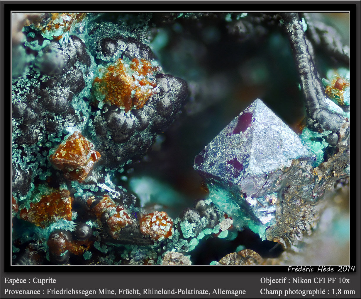 Cuprite
fov 0.9 mm
(Autor: ploum)