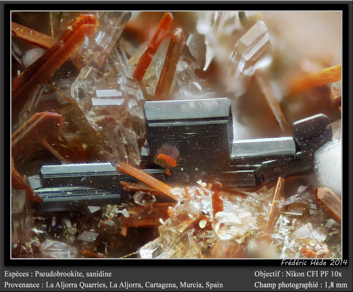 Pseudobrookite, Sanidine
fov 1.8 mm
(Autor: ploum)