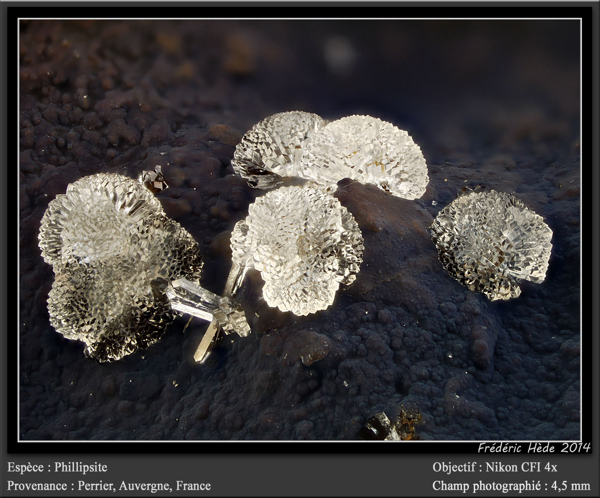 Phillipsite
fov 4.5 mm
(Autor: ploum)