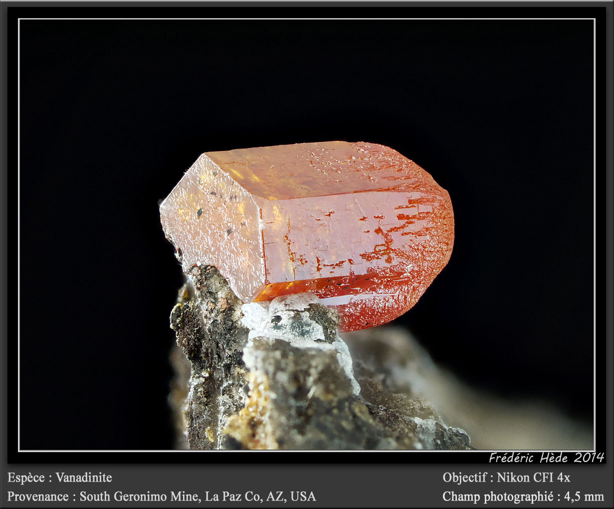 Vanadinite
fov 4.5 mm
(Autor: ploum)