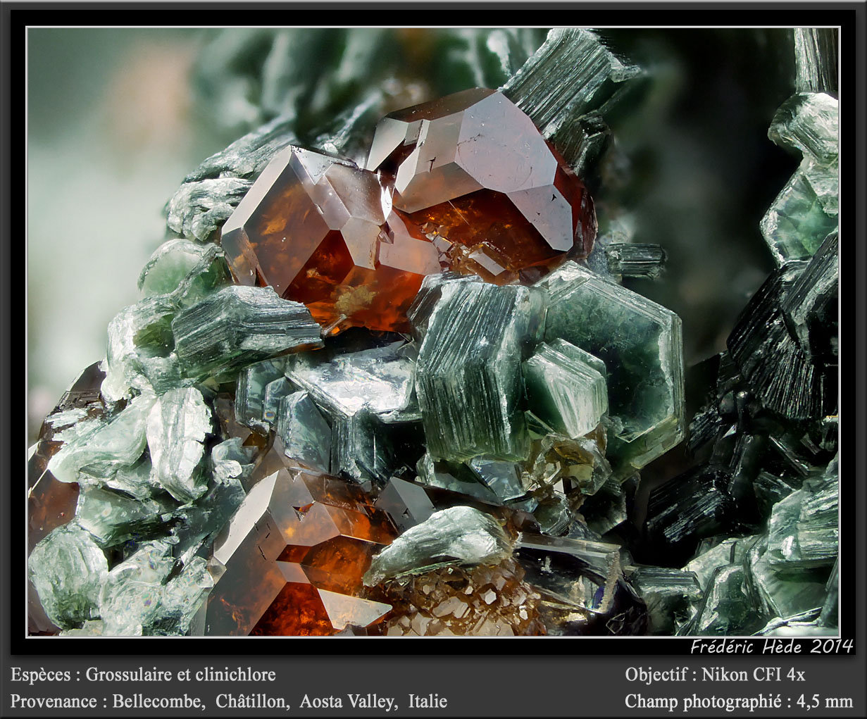 Grossular and Clinochlore
fov 4.5 mm
(Autor: ploum)