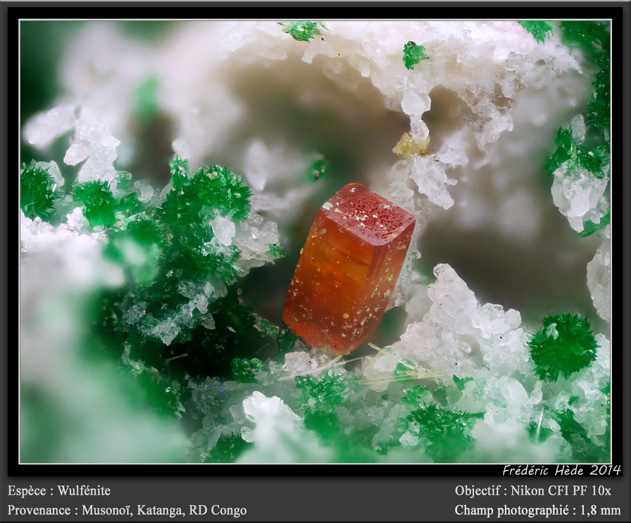 Wulfenite
fov 1.8 mm
(Autor: ploum)