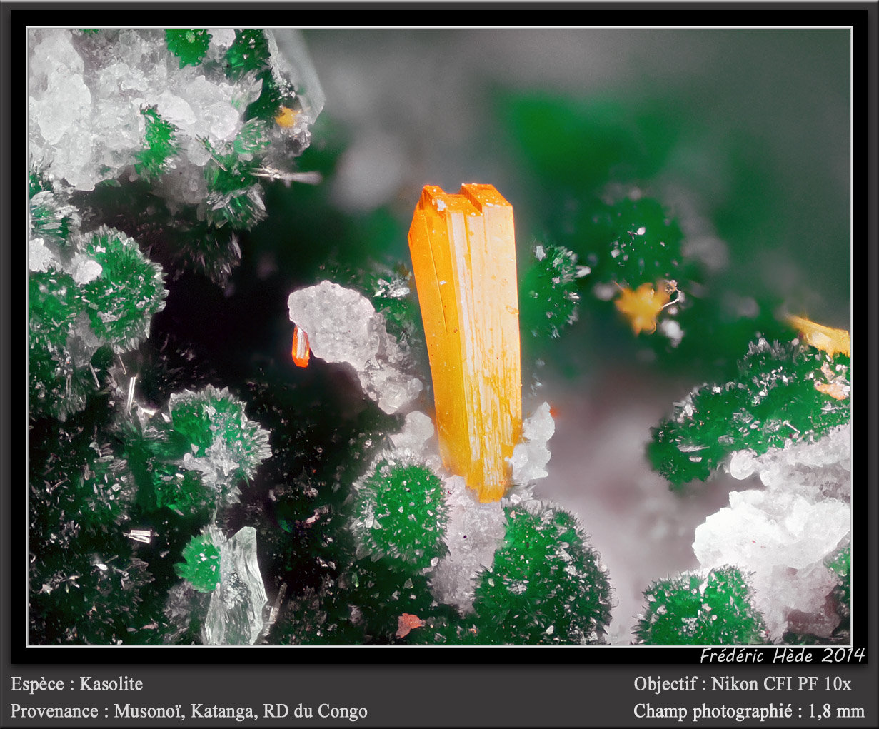Kasolite
fov 1.8 mm
(Autor: ploum)
