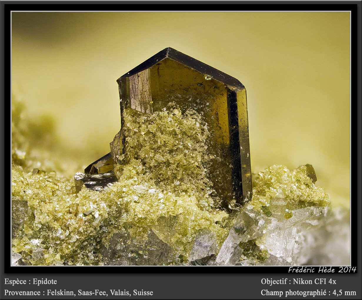Epidote
fov 4.5 mm
(Autor: ploum)