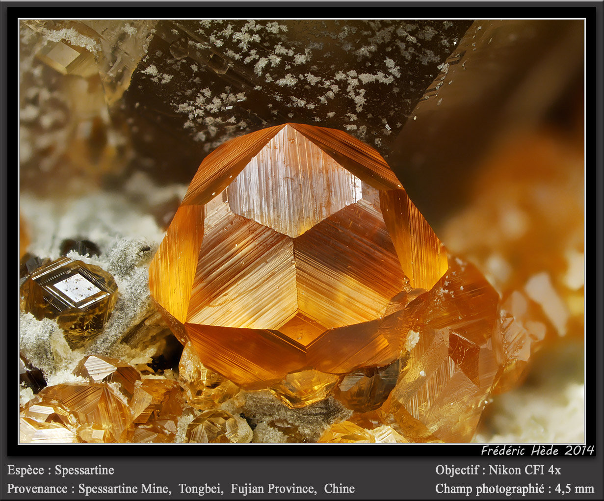 Spessartine
fov 4.5 mm
(Autor: ploum)