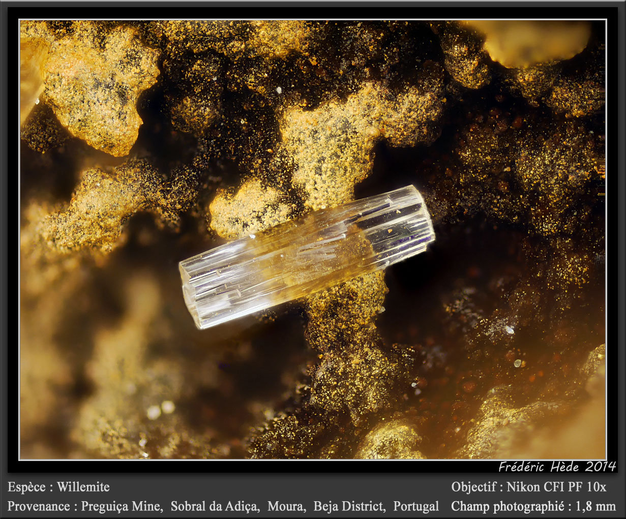 Willemite
fov 1.8 mm
(Autor: ploum)