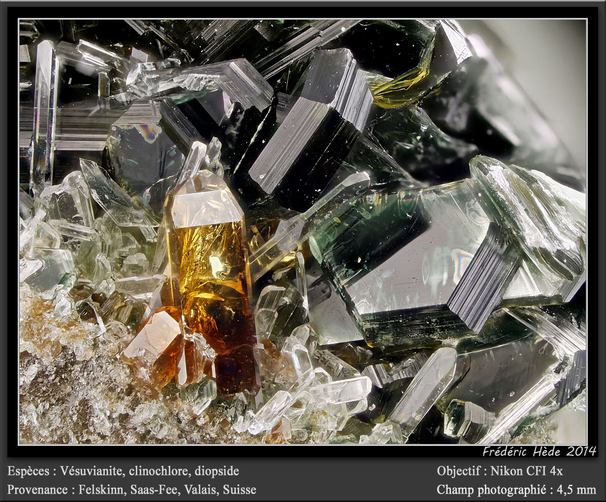 Vesuvianite
fov 4.5 mm
(Autor: ploum)