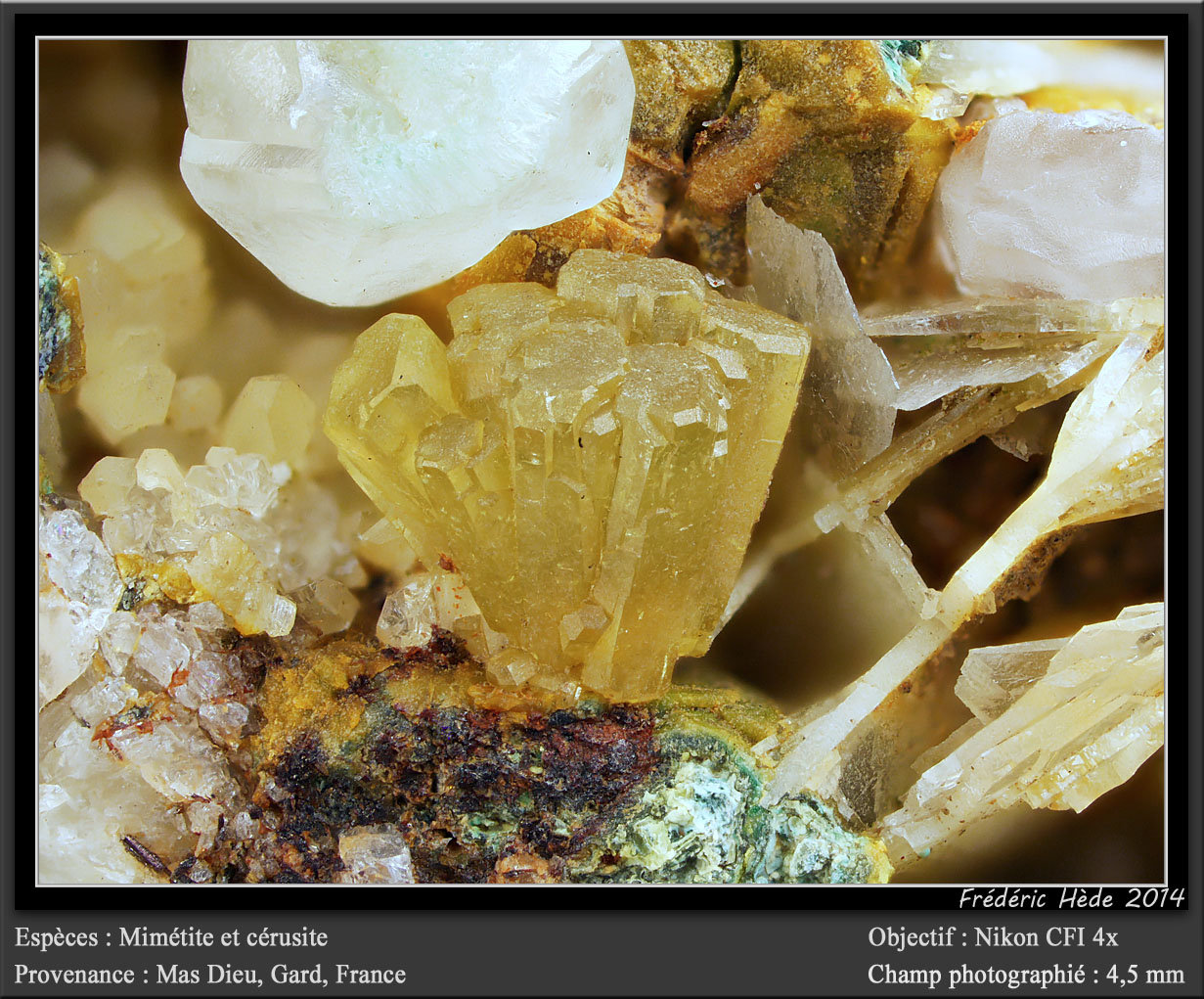 Mimetite and Cerussite
fov 4.5 mm
(Autor: ploum)