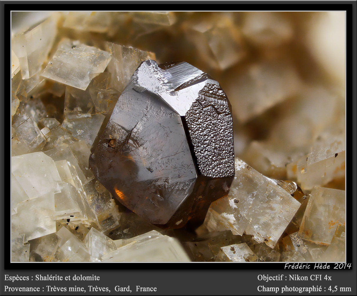 Sphalerite and Dolomite
fov 4.5 mm
(Autor: ploum)