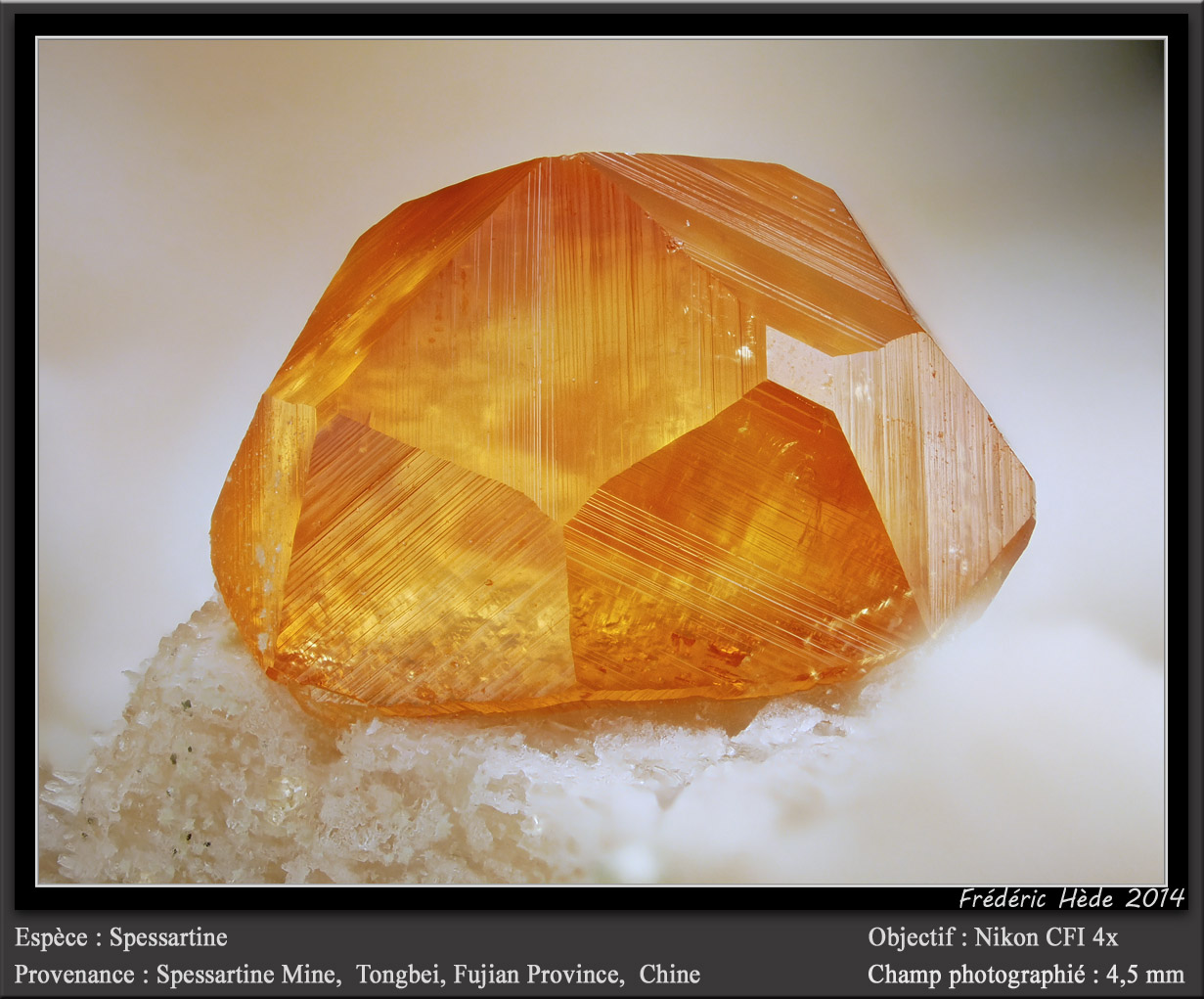 Spessartine
fov 4.5 mm
(Autor: ploum)