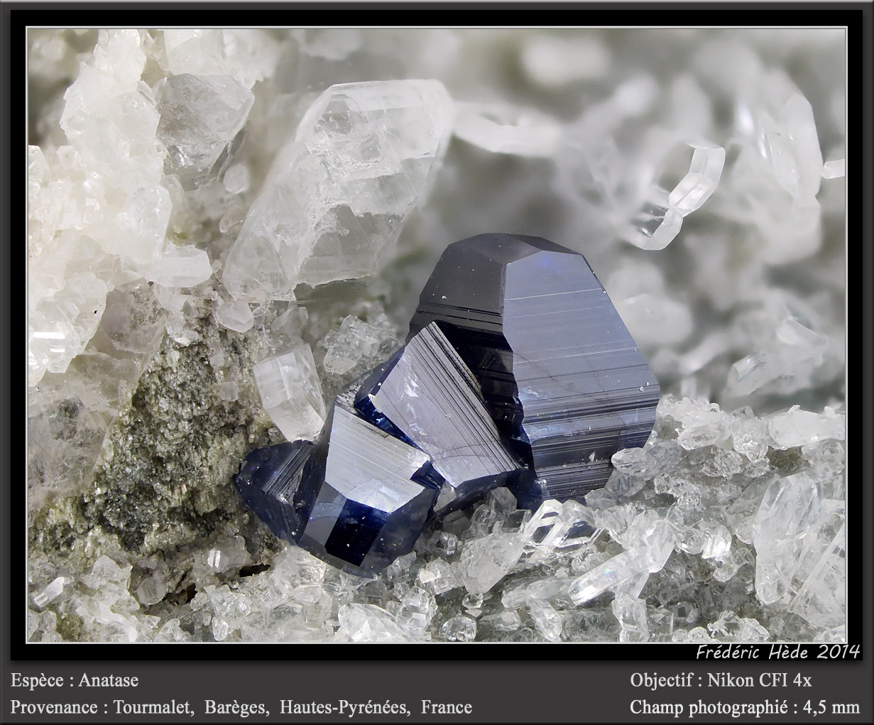 Anatase
fov 4.5 mm
(Autor: ploum)