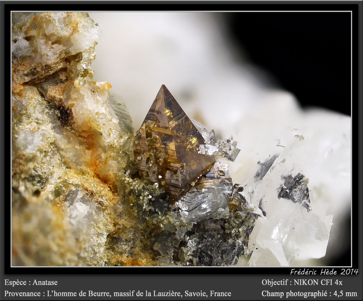 Anatase
fov 4.5 mm
(Autor: ploum)