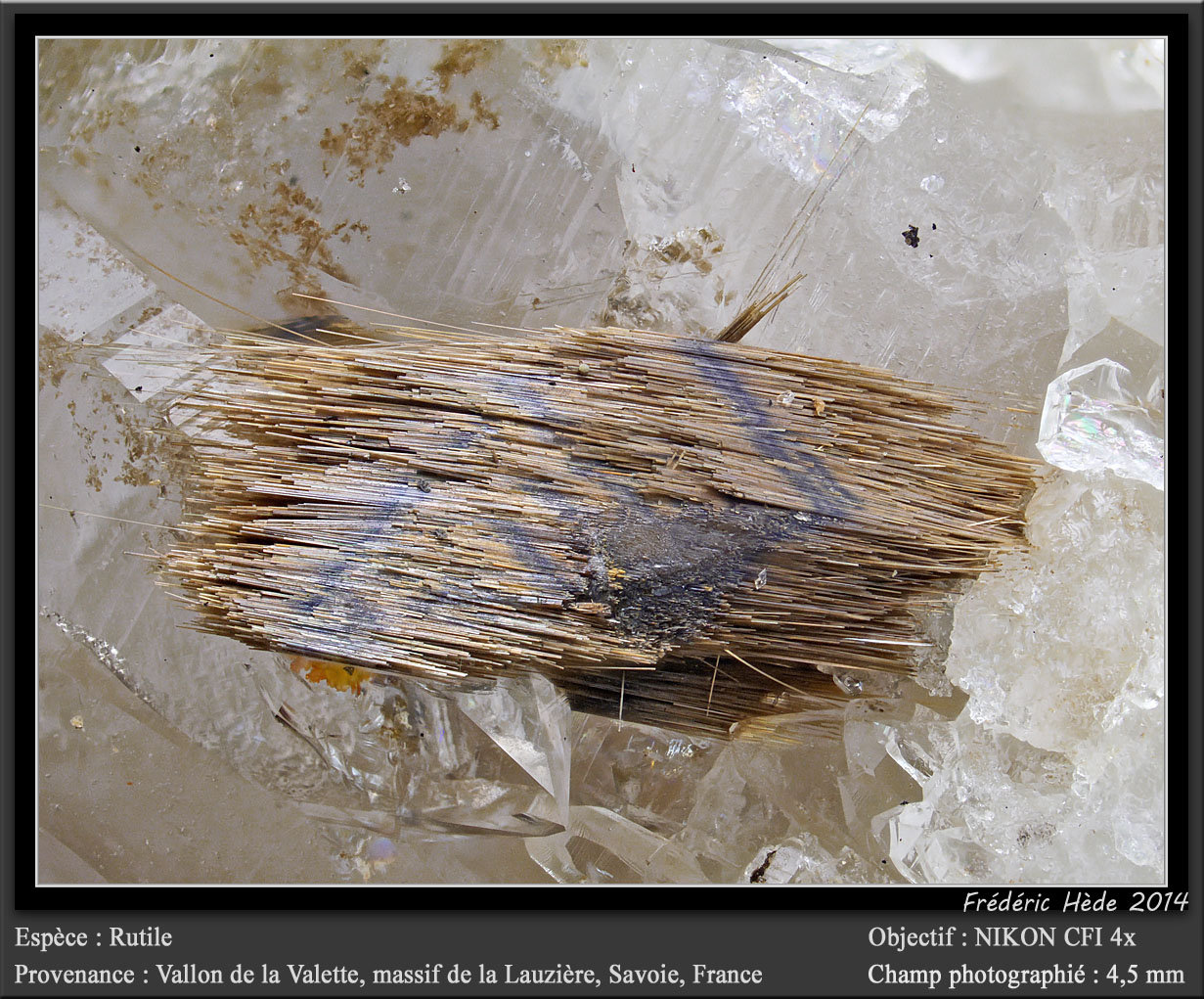 Rutile
fov 4.5 mm
(Autor: ploum)