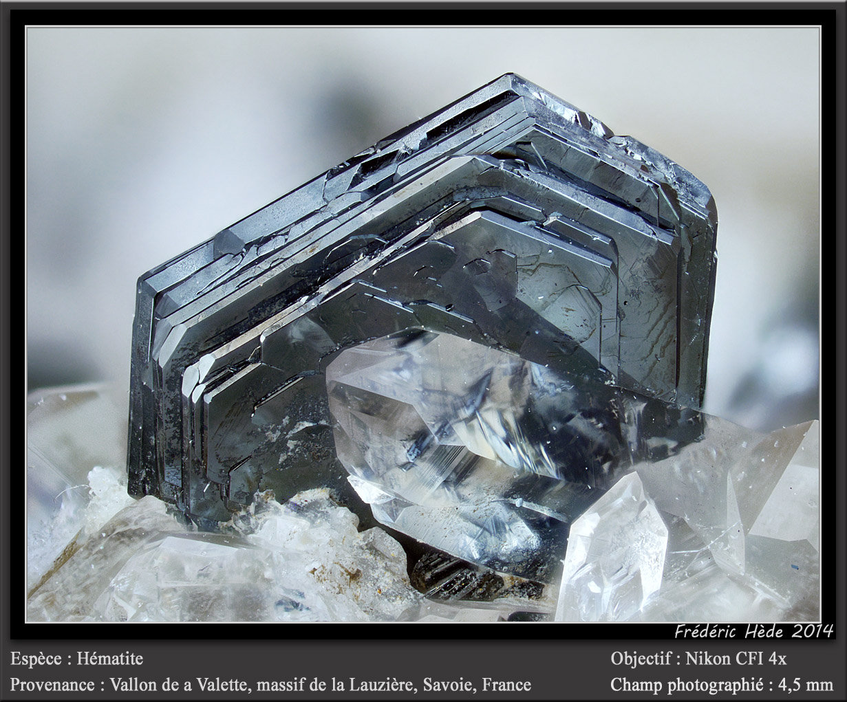 Hematite, Quartz
fov 4.5 mm
(Autor: ploum)