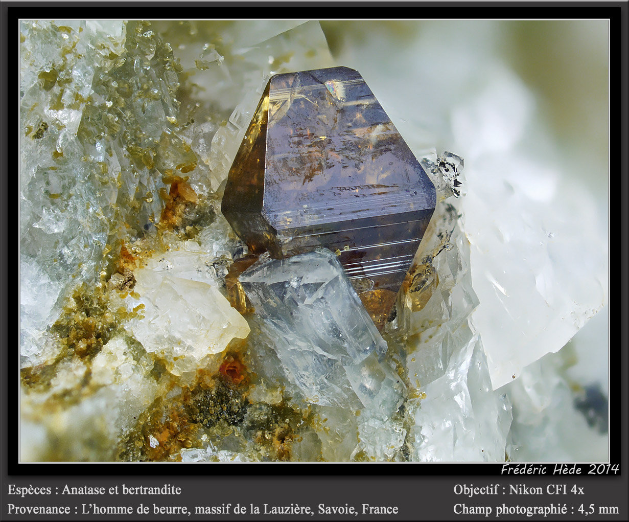 Anatase, Bertrandite
fov 4.5 mm
(Autor: ploum)