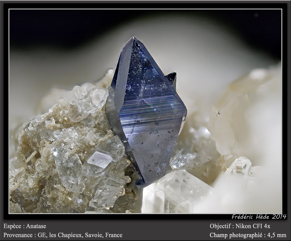 Anatase
fov 4,5 mm
(Autor: ploum)