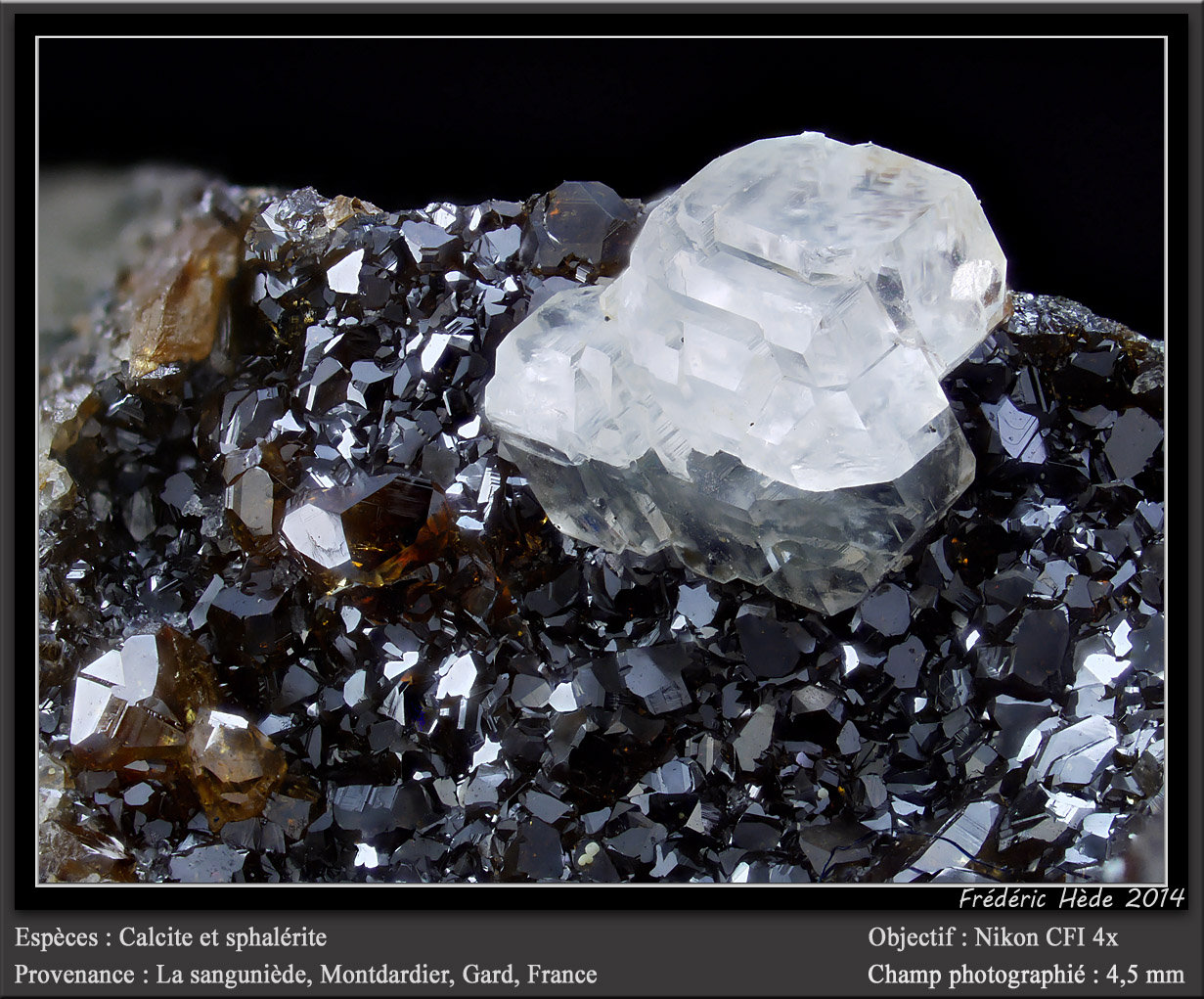 Calcite
fov 4.5 mm
(Autor: ploum)