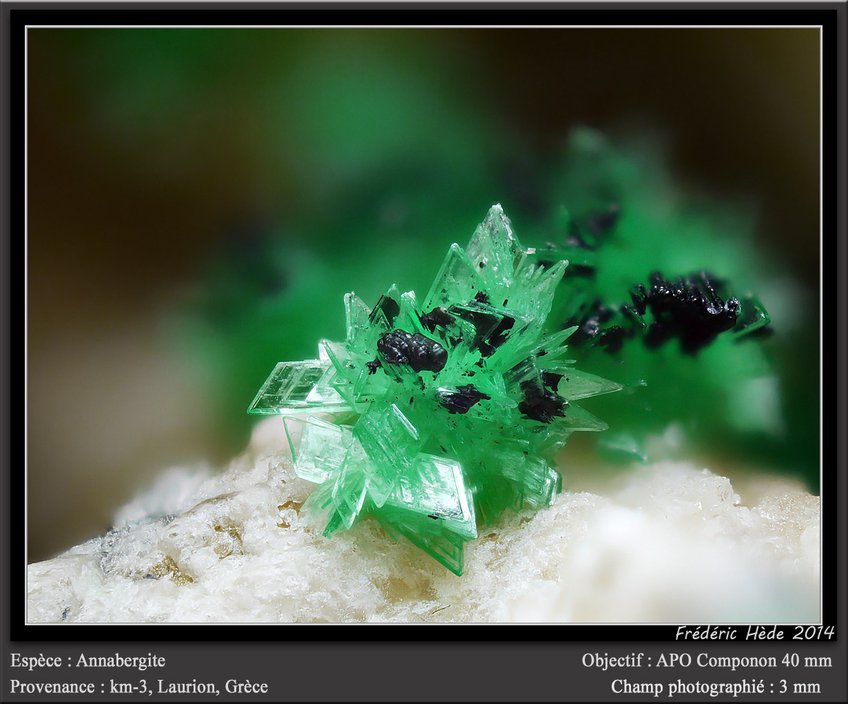 Annabergite
fov 3 mm
(Autor: ploum)