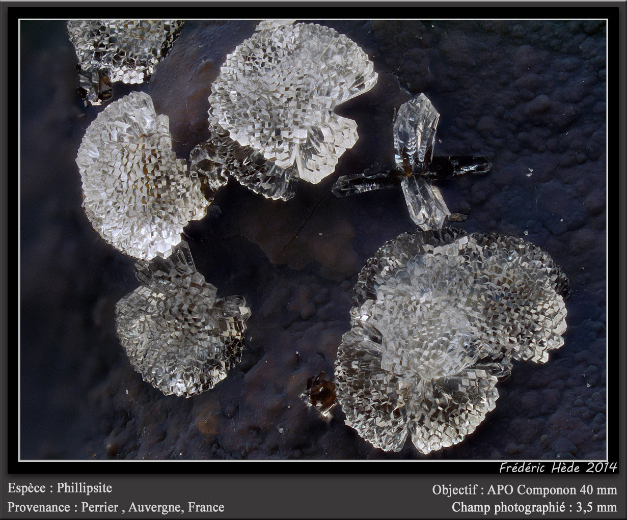 Phillipsite
fov 3.5 mm
(Autor: ploum)