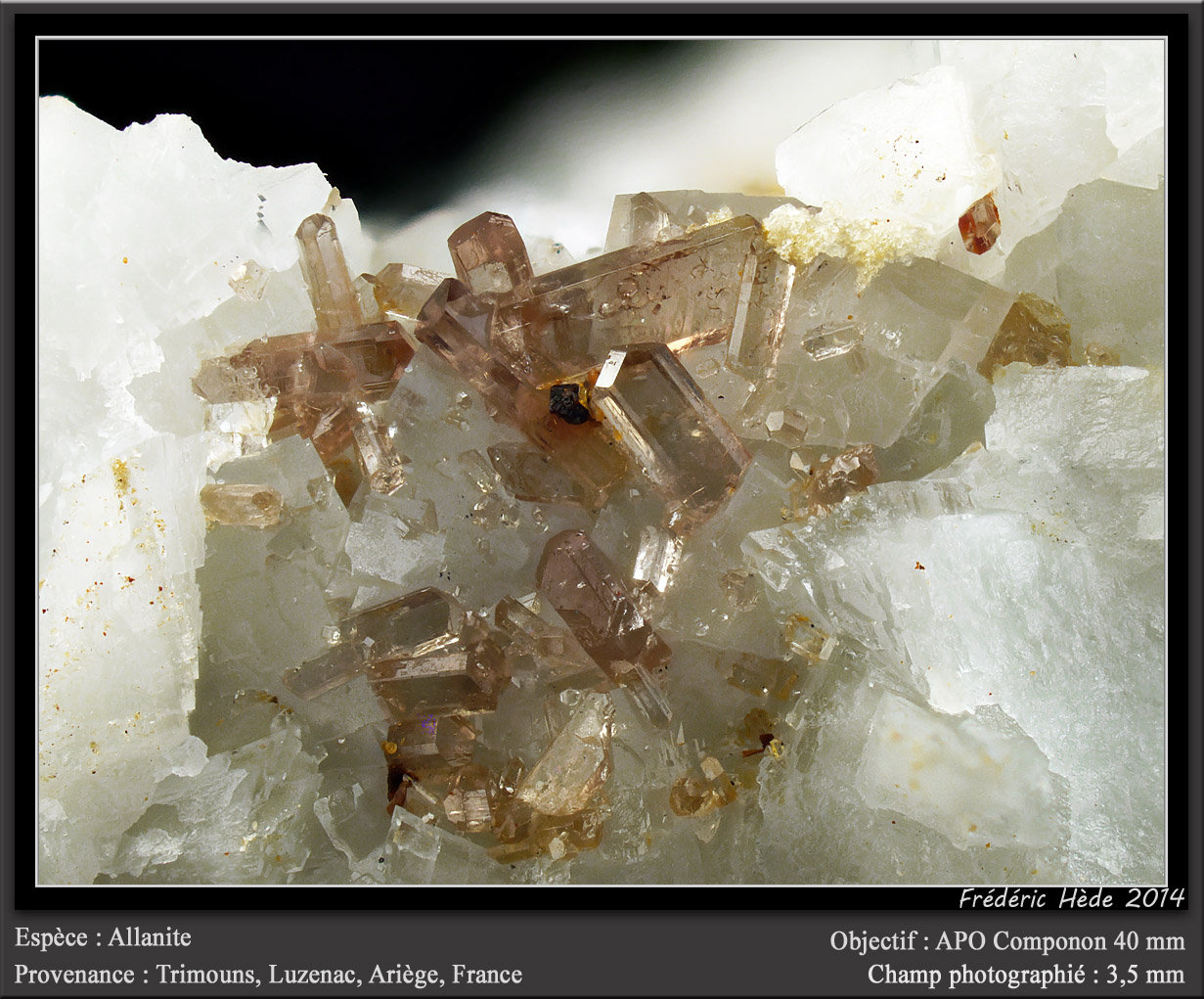 Allanite-(Ce) on Dolomite
fov 3.5 mm
(Autor: ploum)