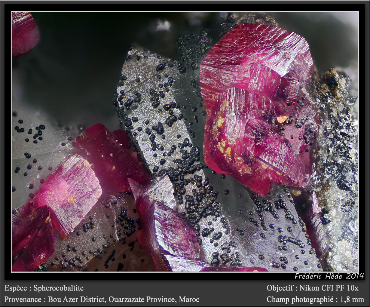 Spherocobaltite
fov 1.8 mm
(Autor: ploum)