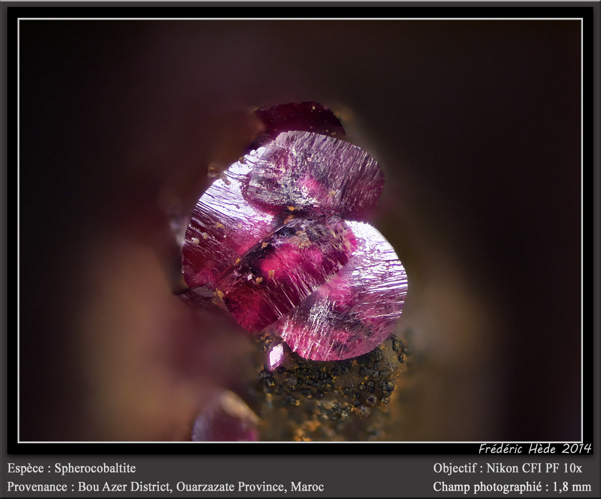 Spherocobaltite
fov 1.8 mm
(Autor: ploum)