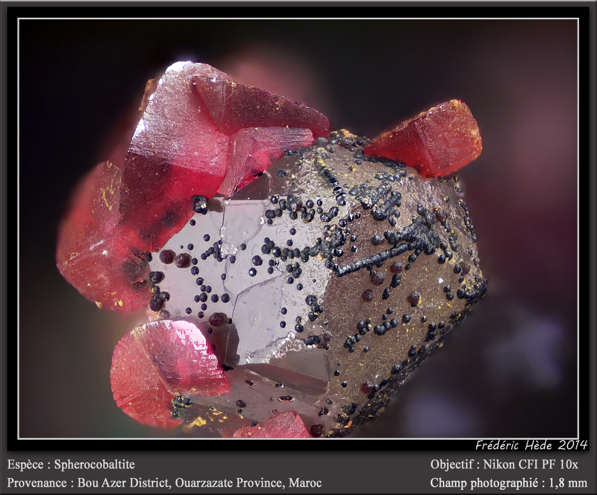 Spherocobaltite
fov 1.8 mm
(Autor: ploum)