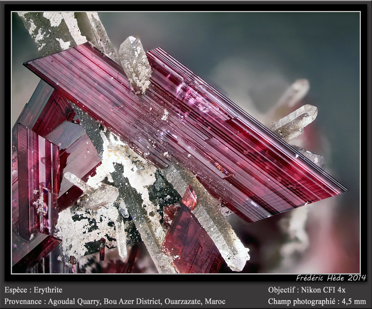 Erythrite with Quartz
fov 4.5 mm
(Autor: ploum)