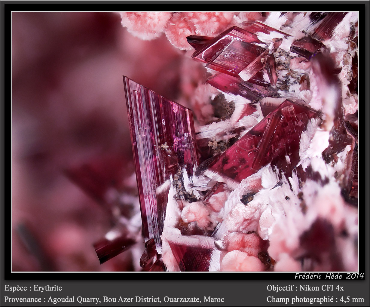 Erythrite
fov 4.5 mm
(Autor: ploum)