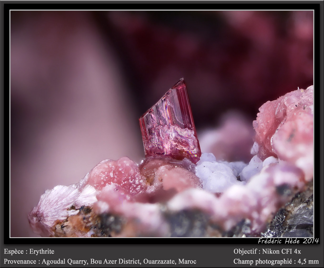 Erythrite
fov 4.5 mm
(Autor: ploum)