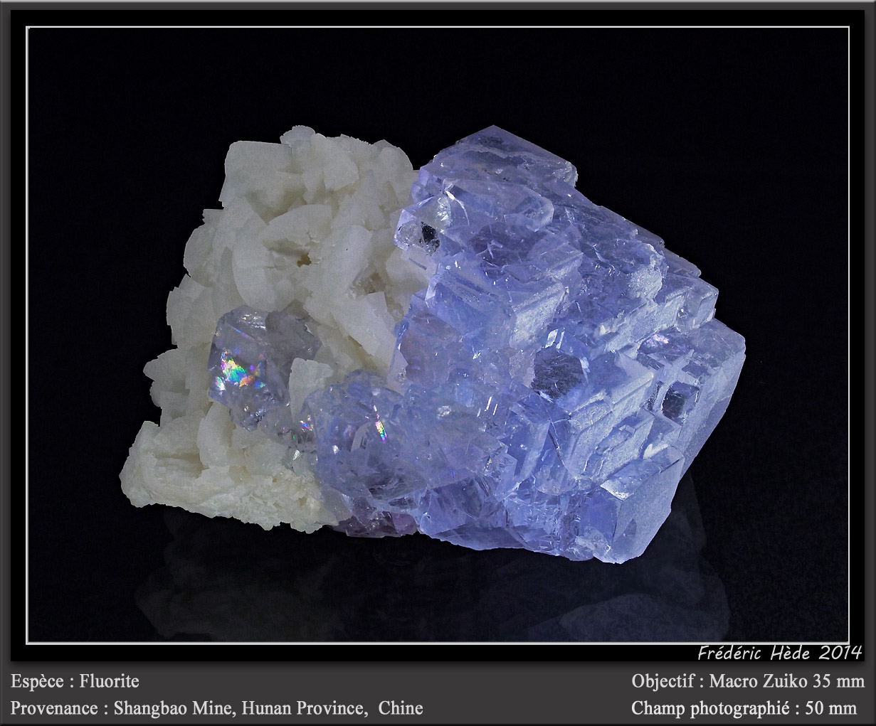 Fluorite
fov 50 mm
(Autor: ploum)