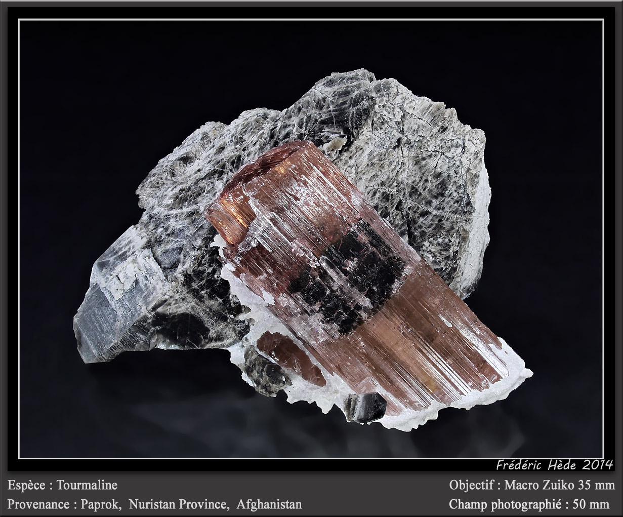 Elbaite (Tourmaline Group)
fov 50 mm
(Autor: ploum)