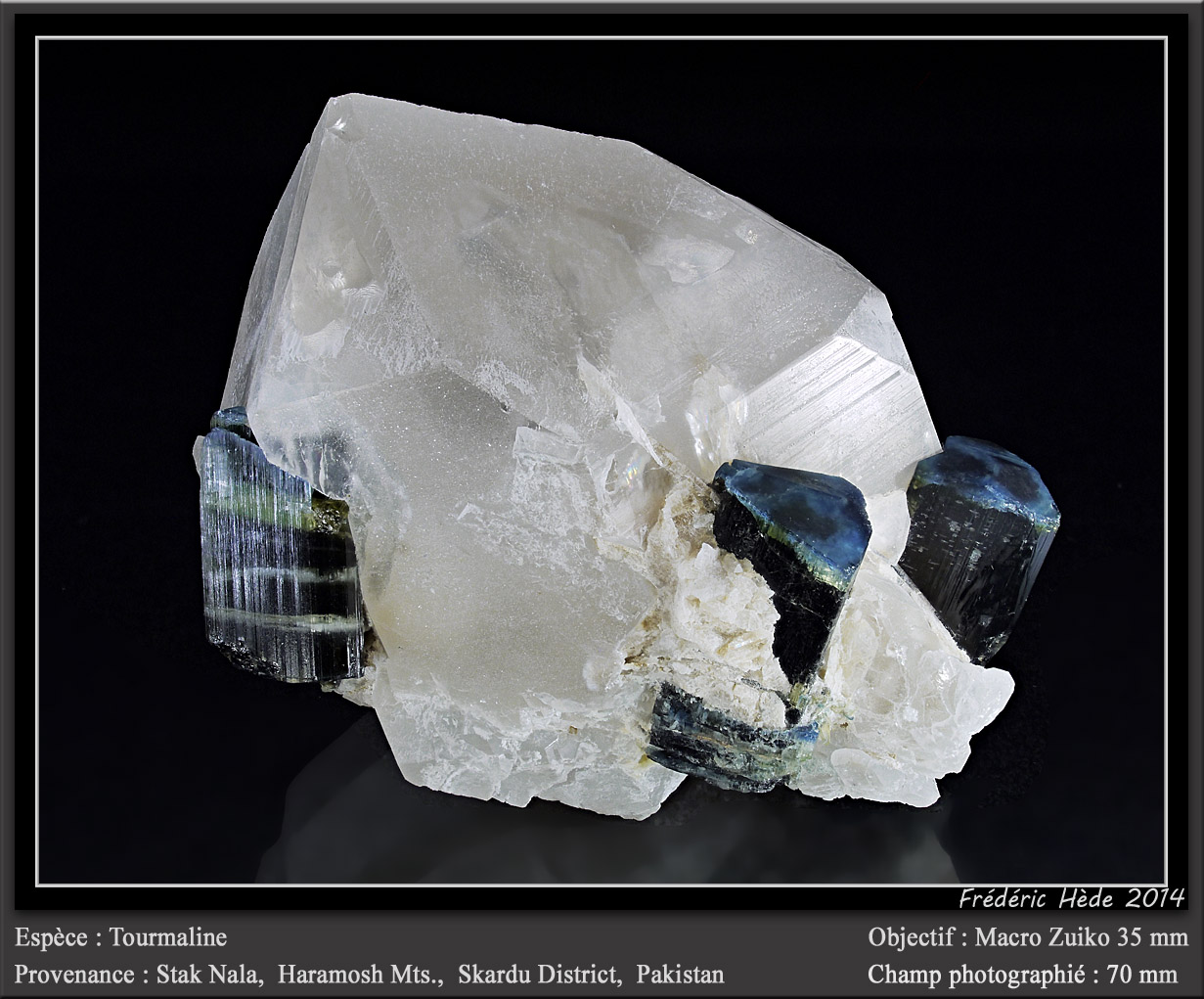 Elbaite (Tourmaline Group)
fov 70 mm
(Autor: ploum)
