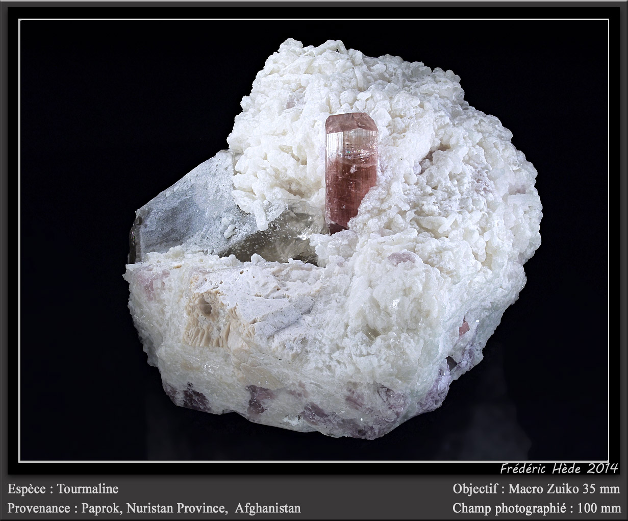 Elbaite (Tourmaline Group)
fov 100 mm
(Autor: ploum)