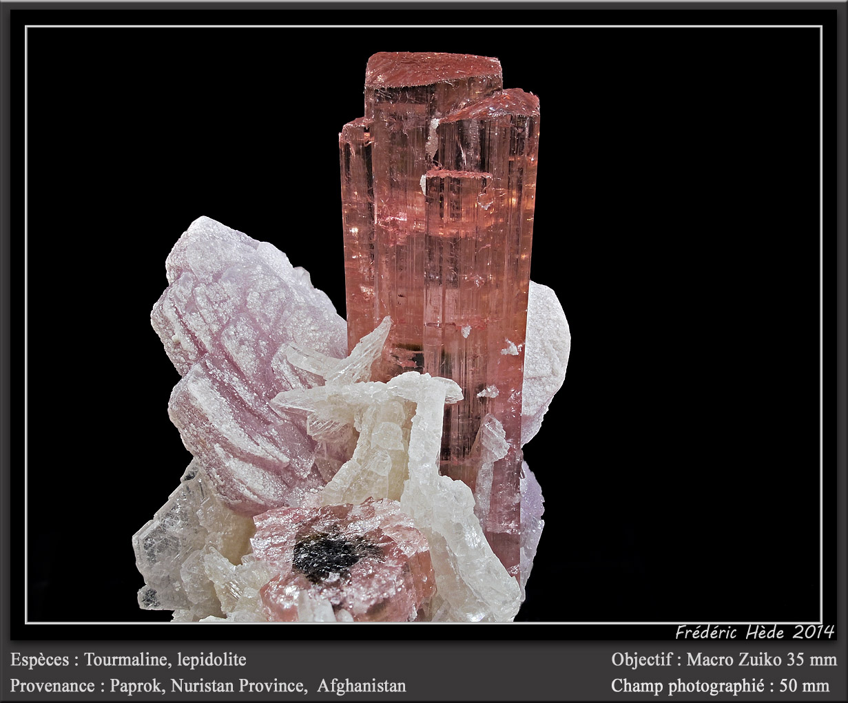 Elbaite (Tourmaline Group)
fov 50 mm
(Autor: ploum)