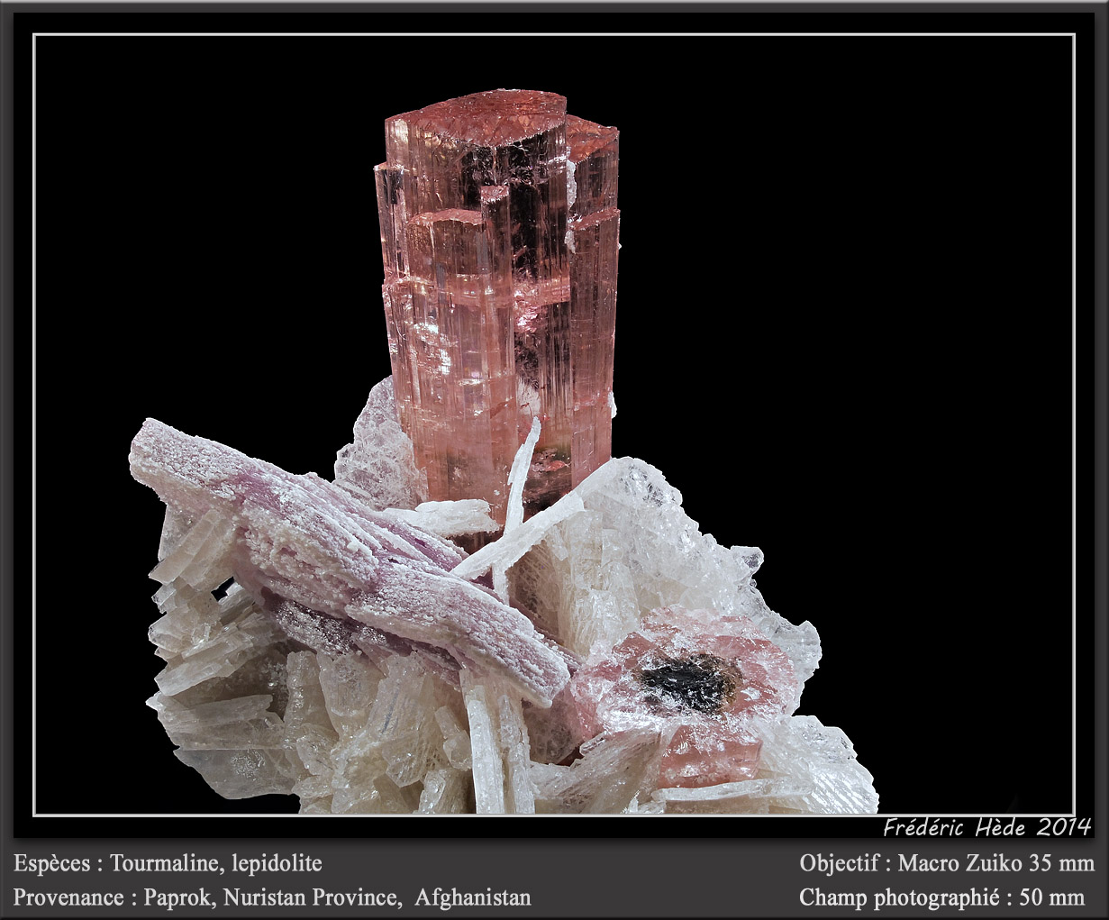 Elbaite (Tourmaline Group)
fov 50 mm
(Autor: ploum)