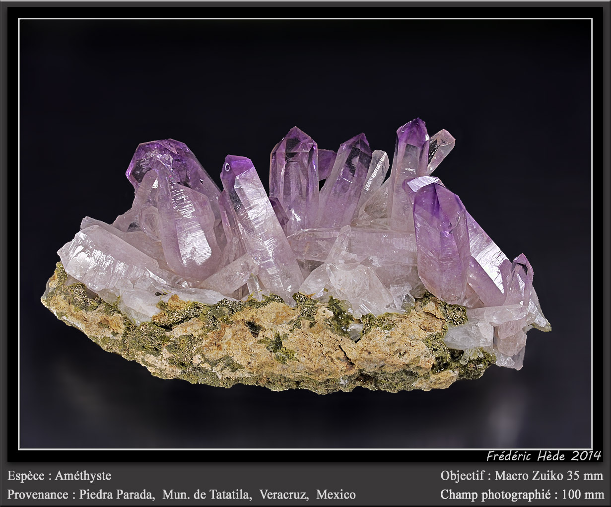 Quartz (var. amethyst)
fov 100 mm
(Autor: ploum)