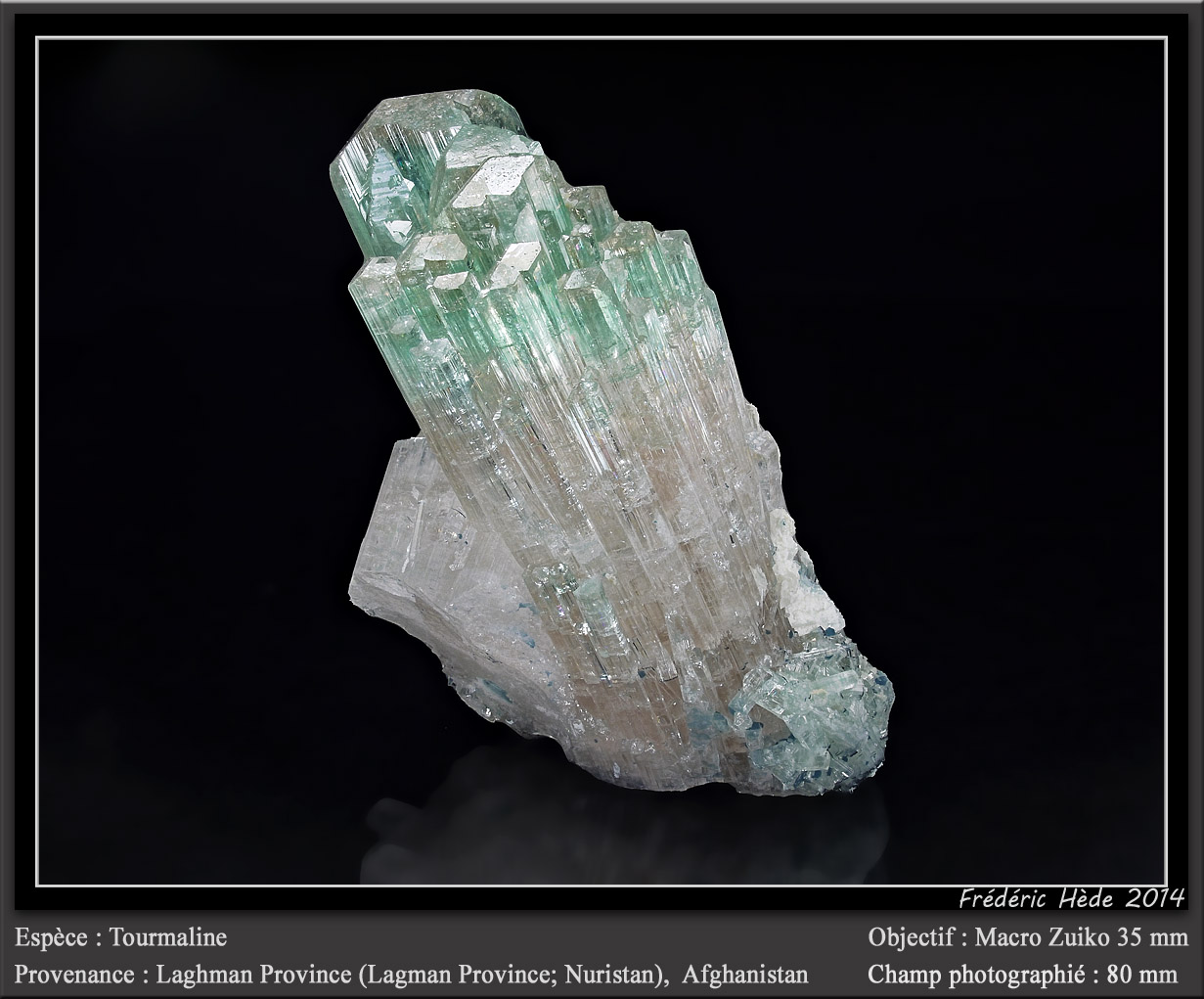 Elbaite (Tourmaline Group)
fov 80 mm
(Autor: ploum)