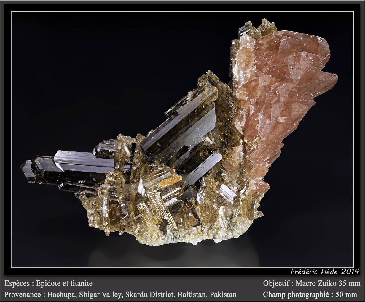 Titanite with Epidote
fov 50 mm
(Autor: ploum)